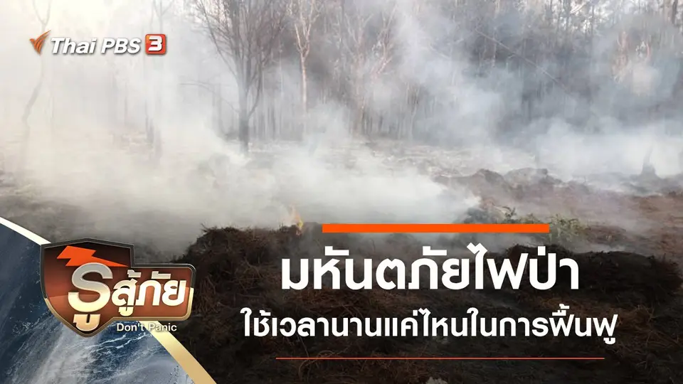 มหันตภัยไฟป่า