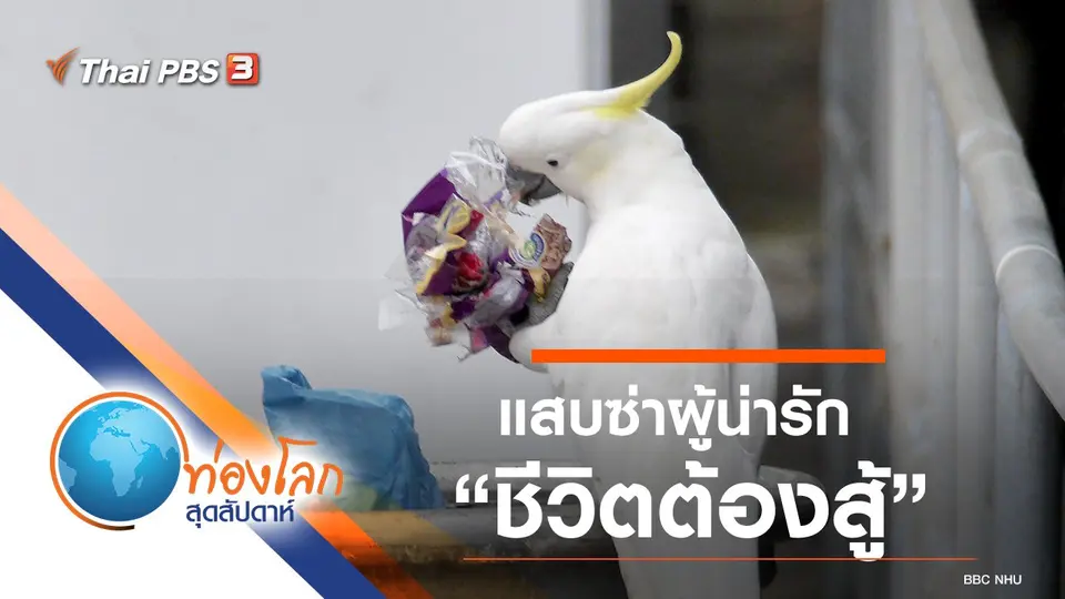 ท่องโลกสุดสัปดาห์