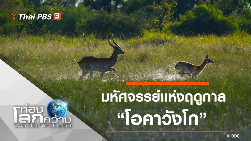 ท่องโลกกว้าง