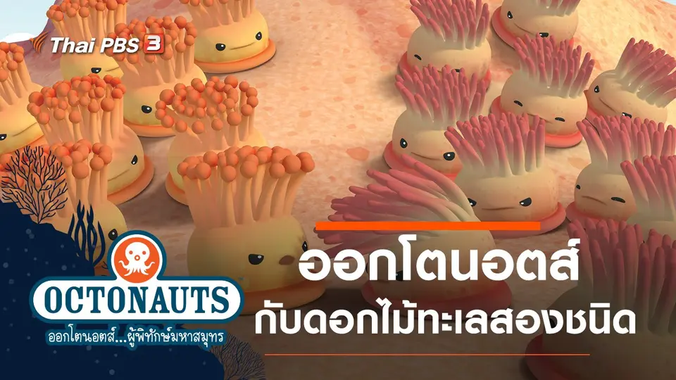 การ์ตูน ออกโตนอตส์...ผู้พิทักษ์มหาสมุทร