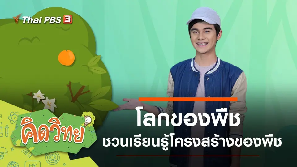 โลกของพืช