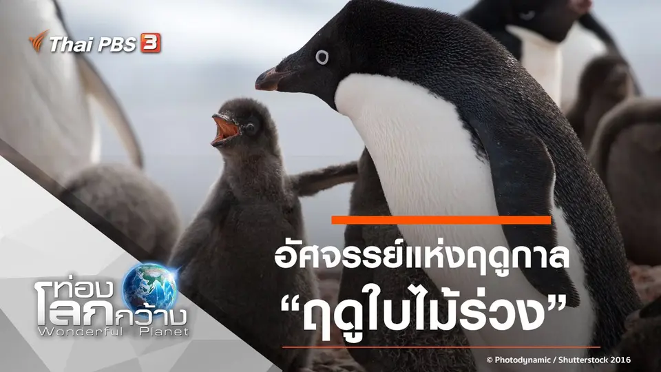 ท่องโลกกว้าง