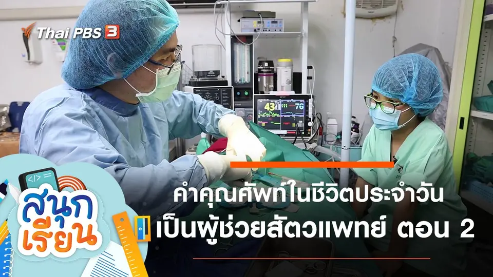 คำคุณศัพท์ในชีวิตประจำวัน และเป็นผู้ช่วยสัตวแพทย์ ตอน 2