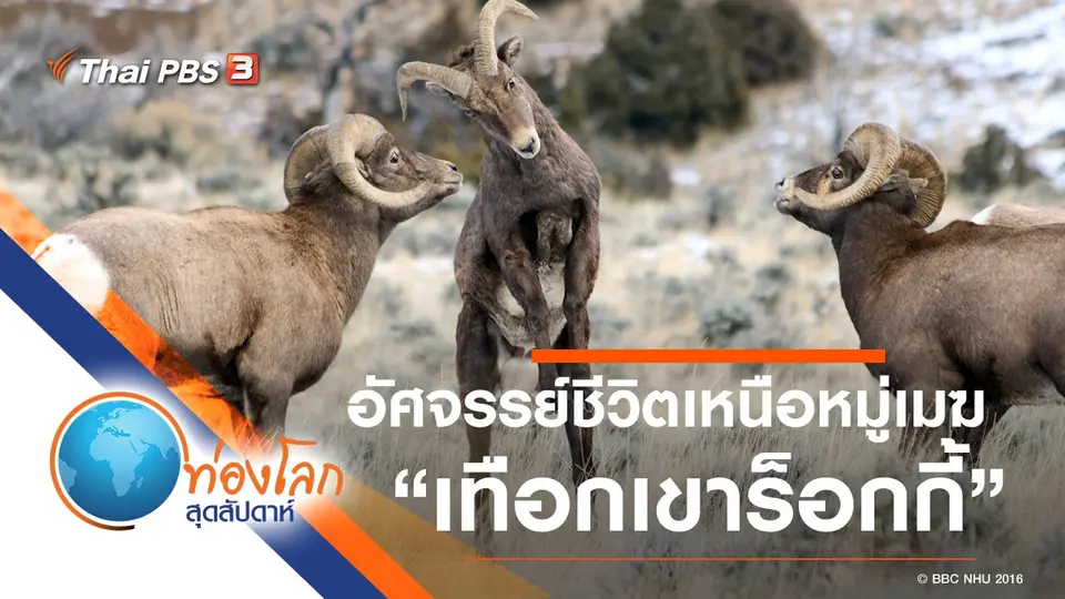 ท่องโลกสุดสัปดาห์