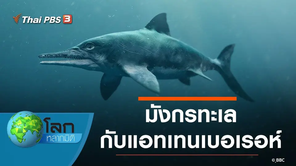 โลกหลากมิติ