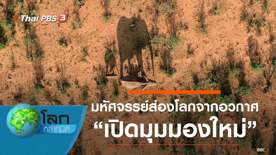 โลกหลากมิติ