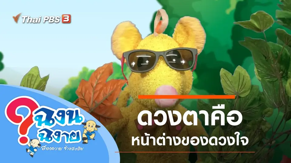 ดวงตาคือหน้าต่างของดวงใจ