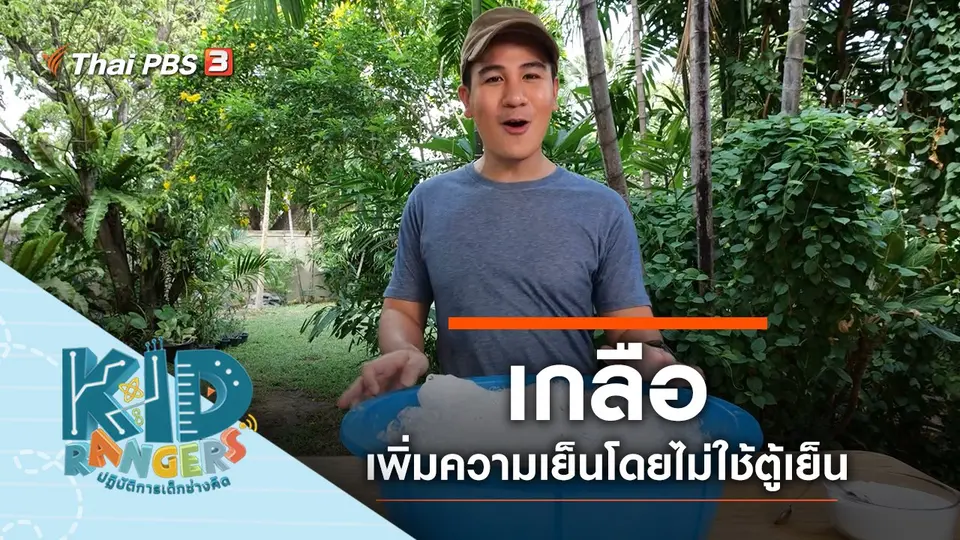 เกลือ