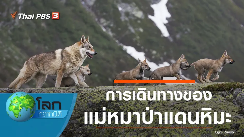 โลกหลากมิติ