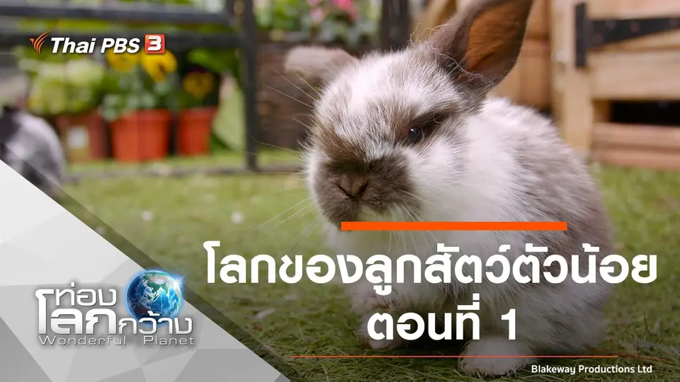 ท่องโลกกว้าง