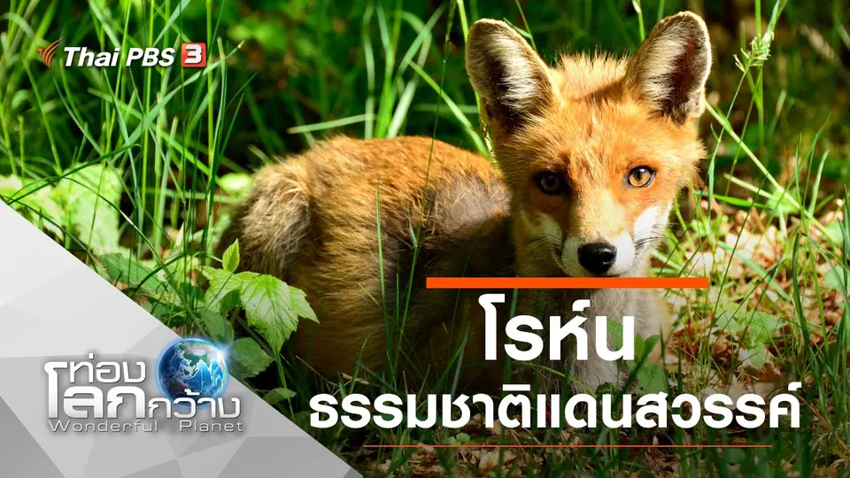 ท่องโลกกว้าง
