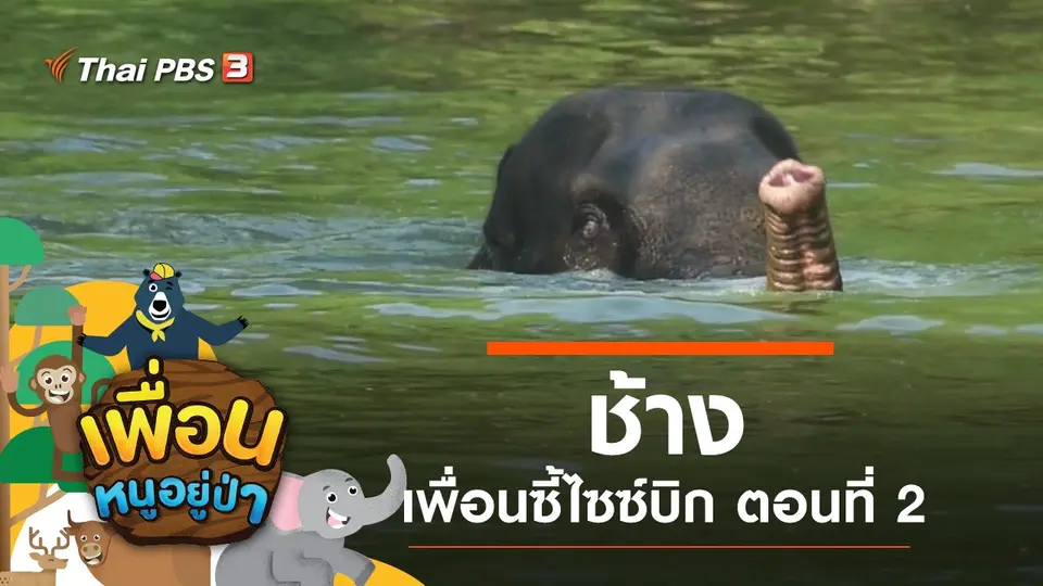 เพื่อนหนูอยู่ป่า