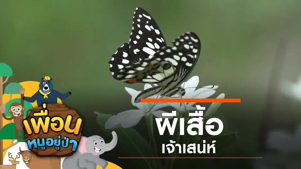 เพื่อนหนูอยู่ป่า
