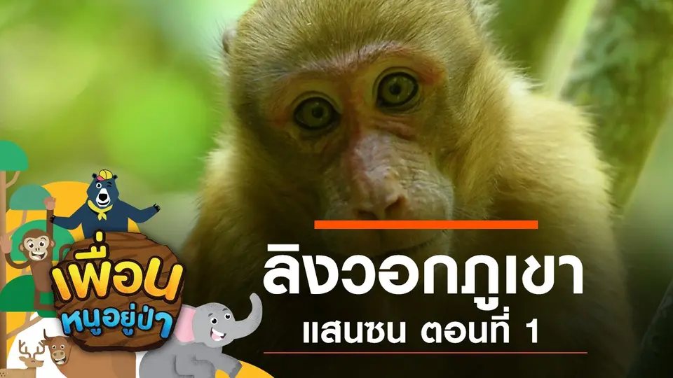 เพื่อนหนูอยู่ป่า