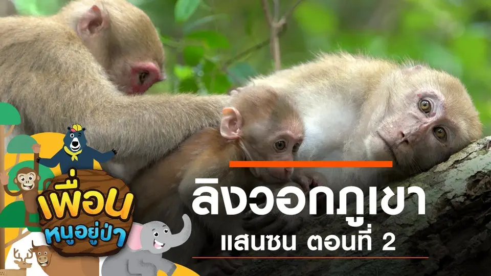 เพื่อนหนูอยู่ป่า