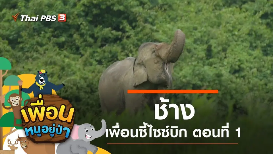 เพื่อนหนูอยู่ป่า