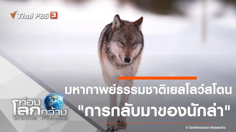 ท่องโลกกว้าง