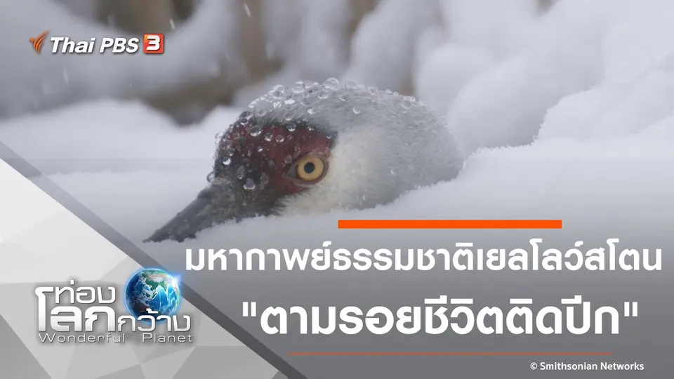 ท่องโลกกว้าง