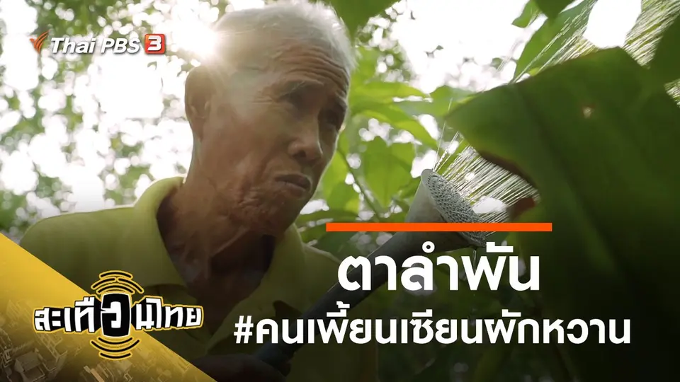 สะเทือนไทย