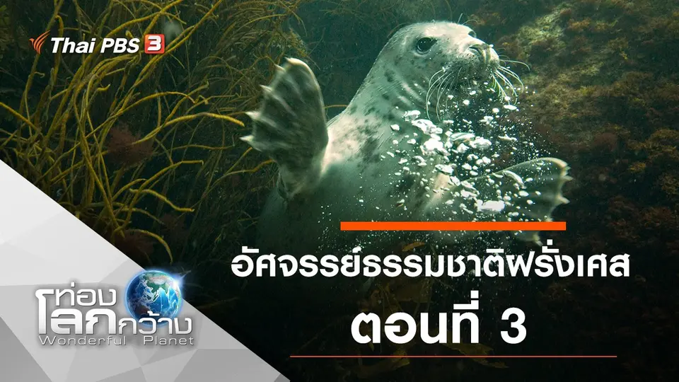 ท่องโลกกว้าง
