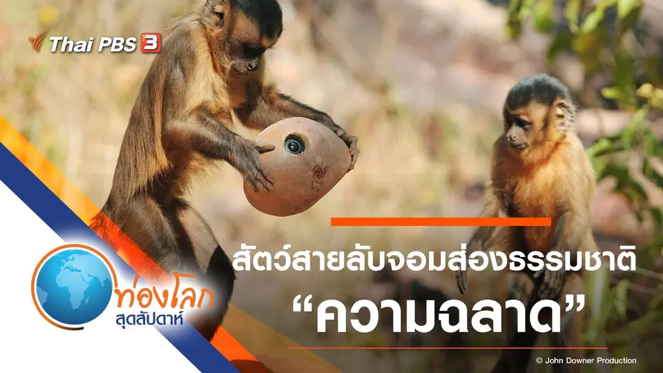 ท่องโลกสุดสัปดาห์
