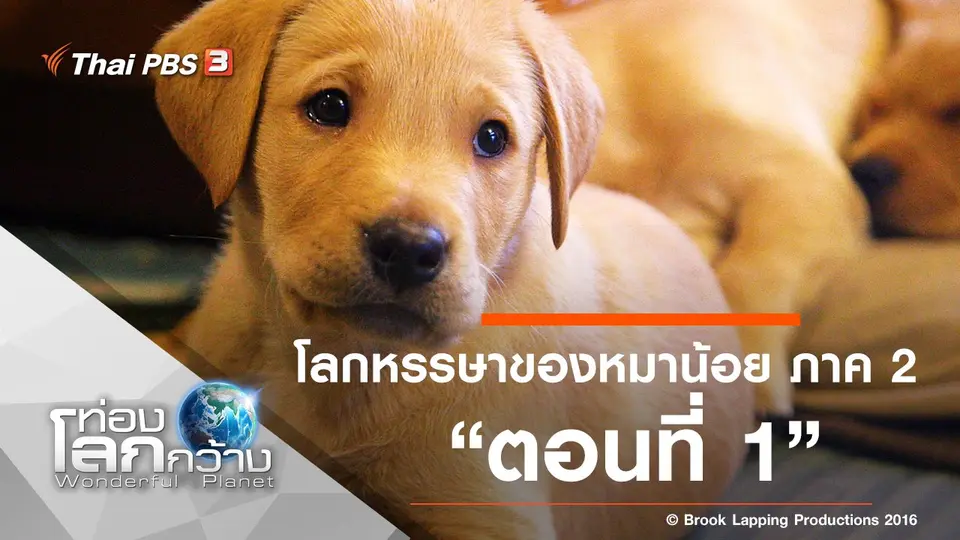 ท่องโลกกว้าง