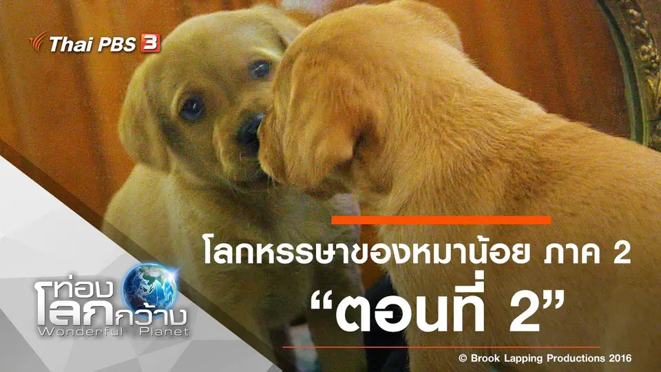 ท่องโลกกว้าง