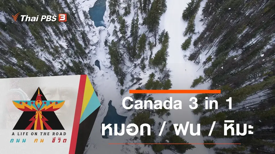 Canada 3 in 1 หมอก / ฝน / หิมะ