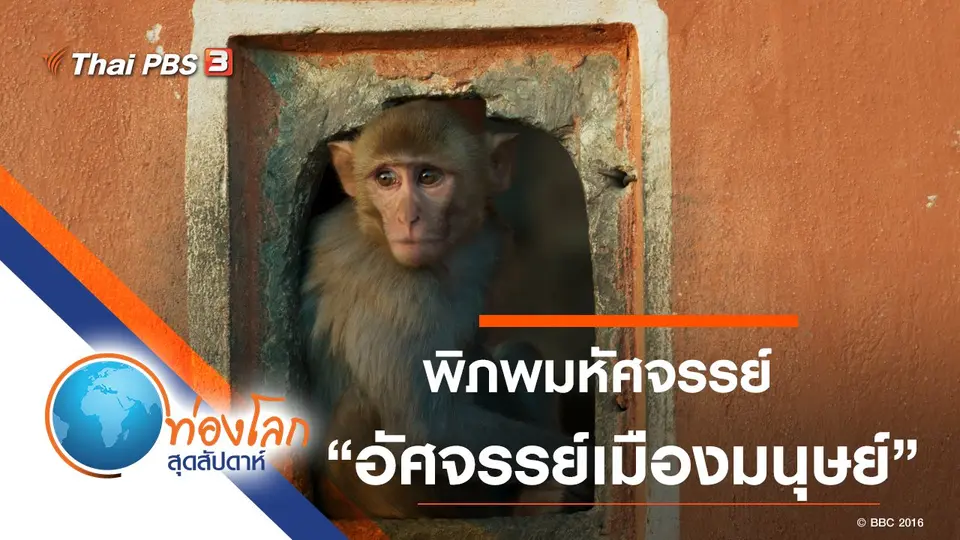 ท่องโลกสุดสัปดาห์