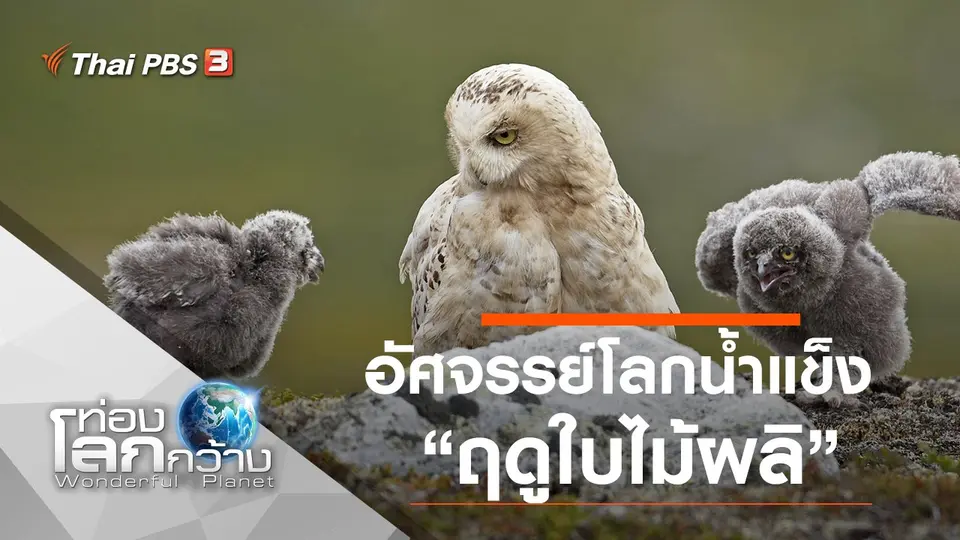 ท่องโลกกว้าง