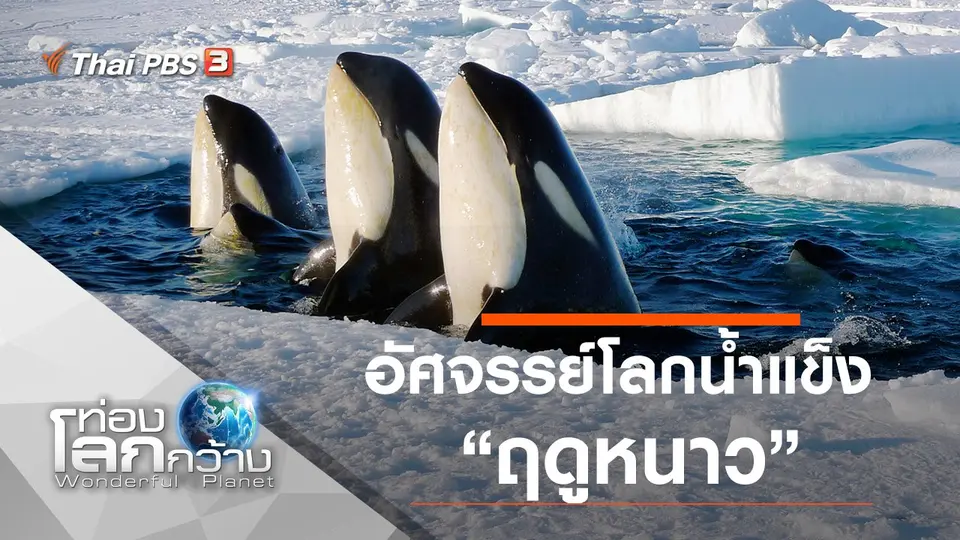 ท่องโลกกว้าง