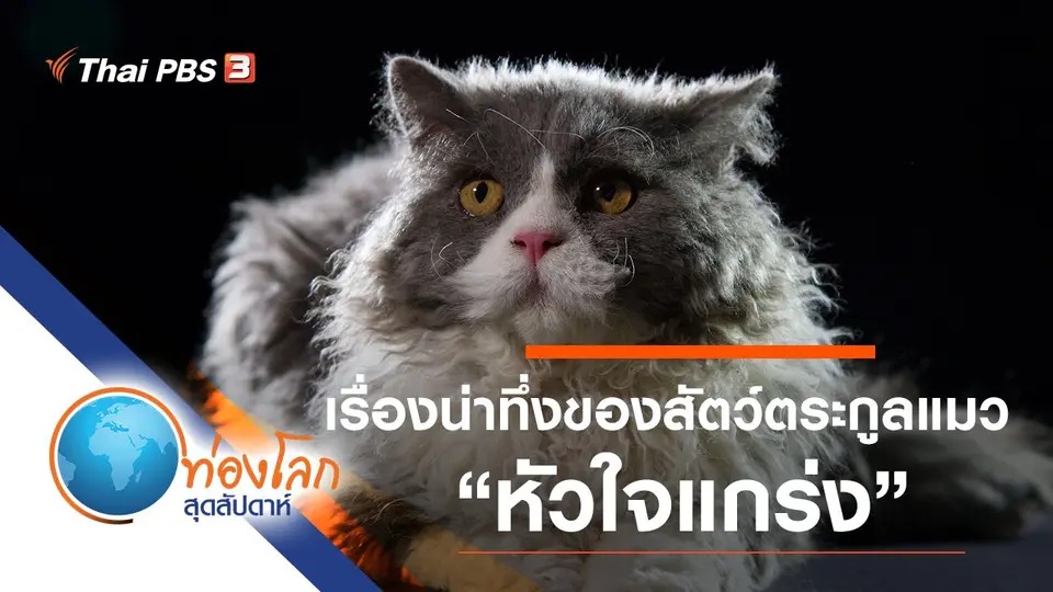ท่องโลกสุดสัปดาห์