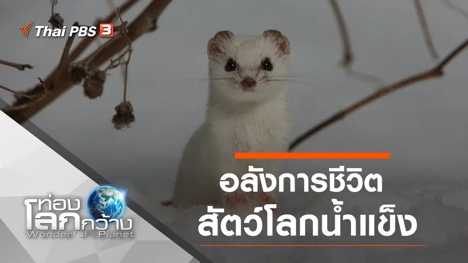 ท่องโลกกว้าง