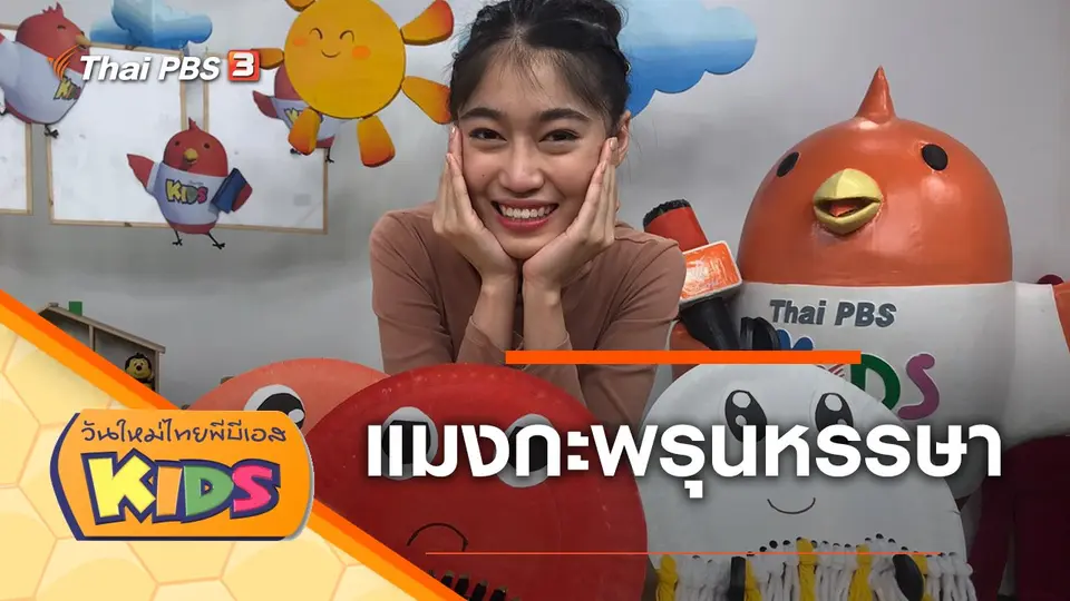 วันใหม่ไทยพีบีเอสคิดส์