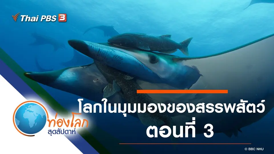 ท่องโลกสุดสัปดาห์