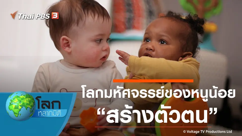 โลกหลากมิติ