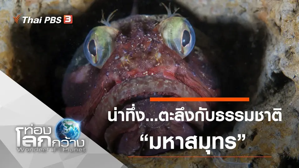 ท่องโลกกว้าง