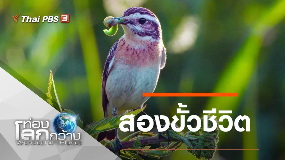ท่องโลกกว้าง