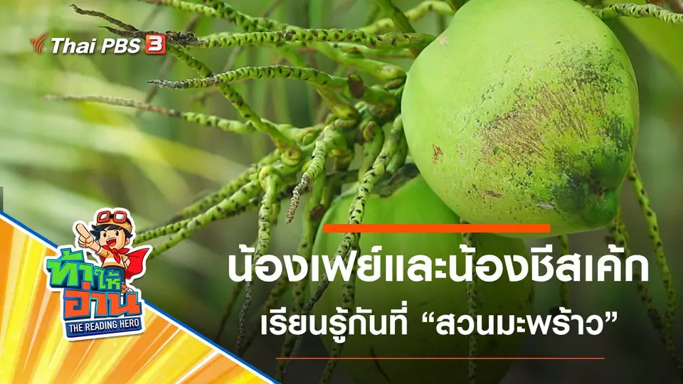 ท้าให้อ่าน The Reading Hero