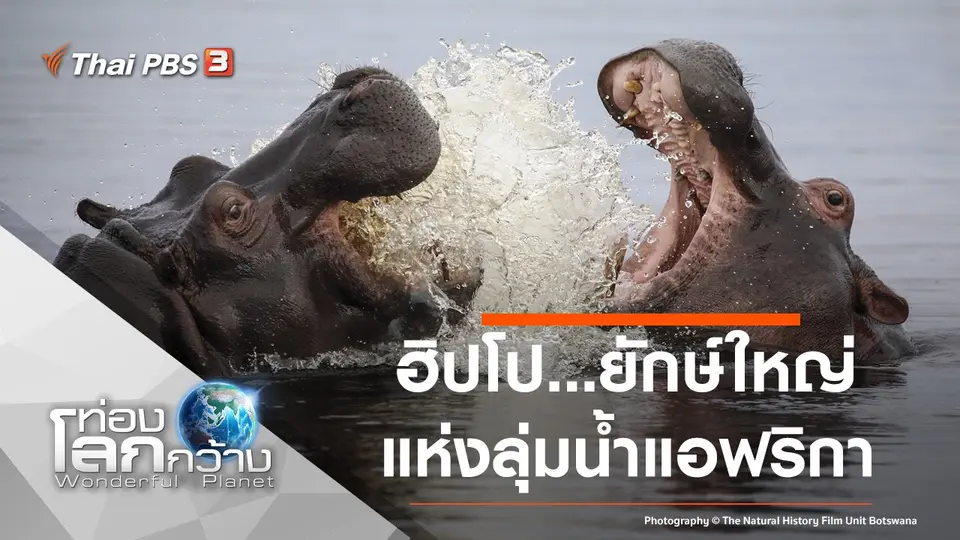 ท่องโลกกว้าง