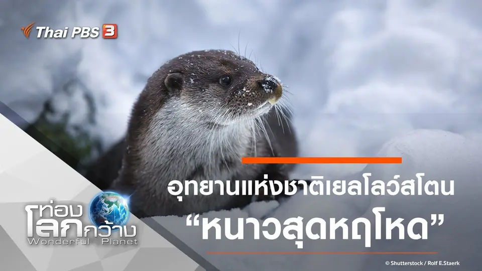 ท่องโลกกว้าง