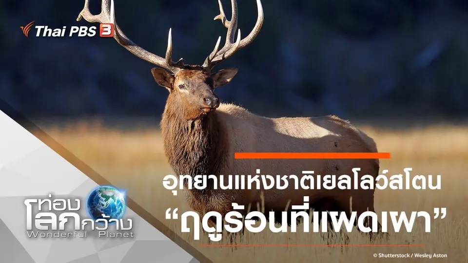 ท่องโลกกว้าง