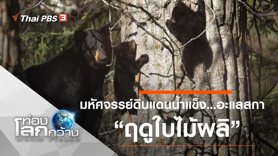 ท่องโลกกว้าง
