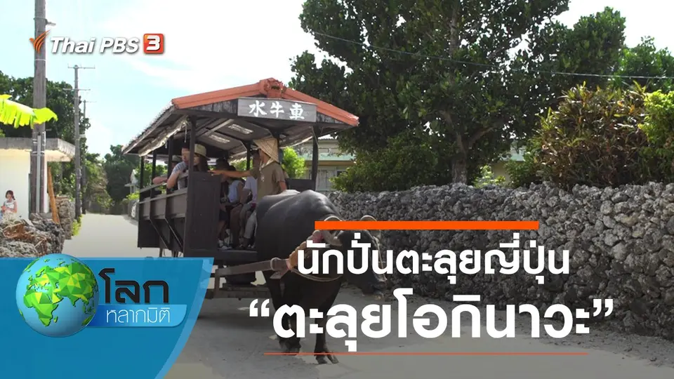 โลกหลากมิติ