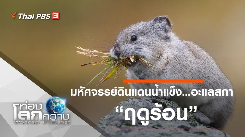 ท่องโลกกว้าง