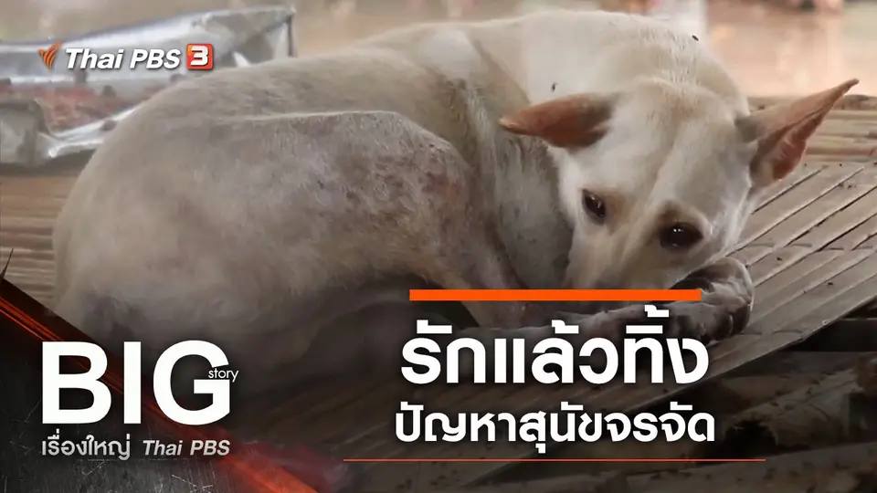 รักแล้วทิ้ง
