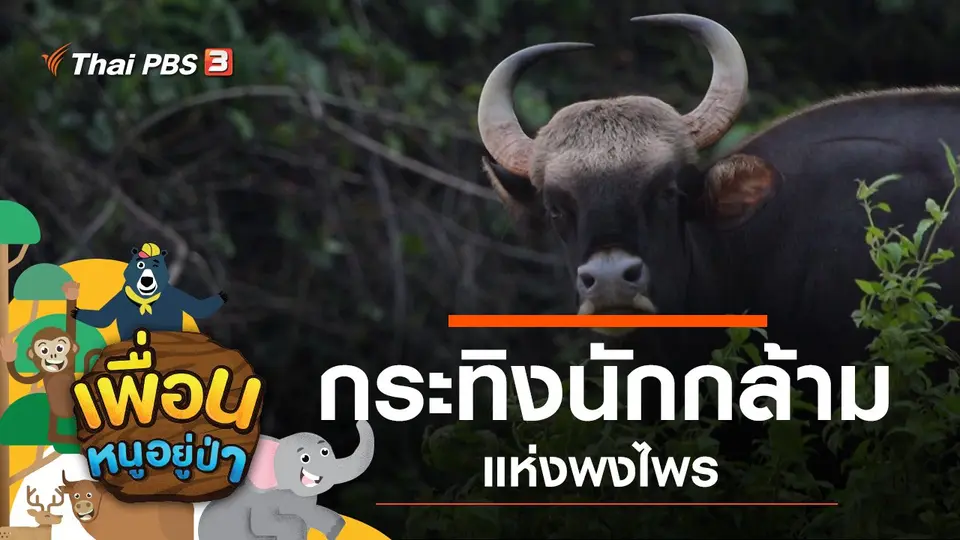 เพื่อนหนูอยู่ป่า