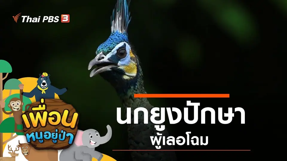 เพื่อนหนูอยู่ป่า