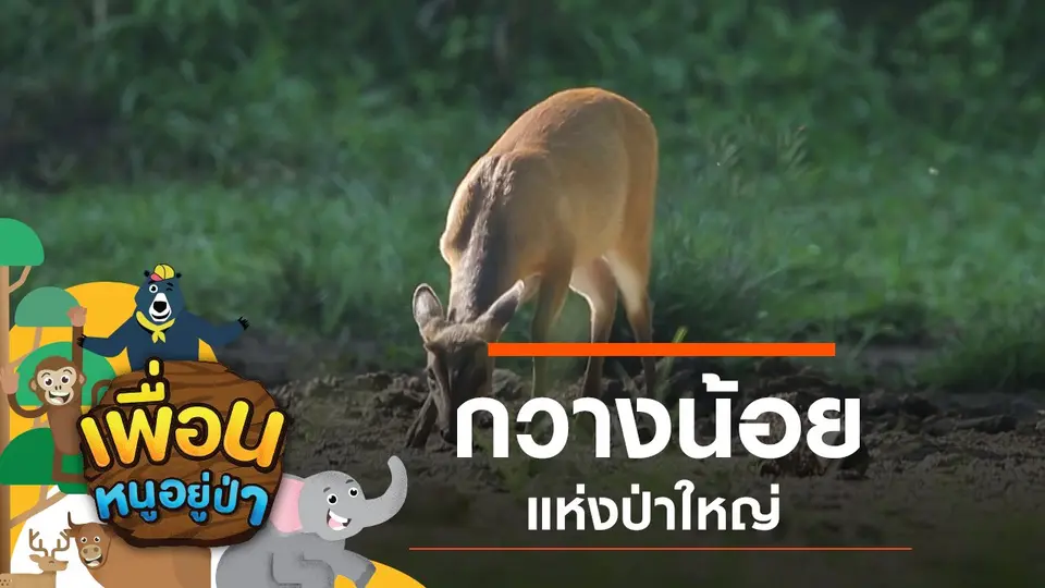 เพื่อนหนูอยู่ป่า