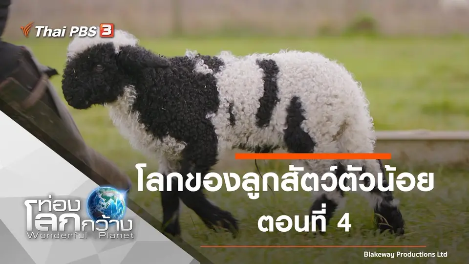 ท่องโลกกว้าง